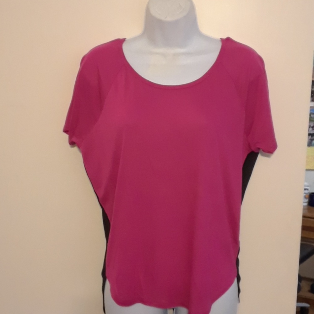 NWT Express blouse with sheer back